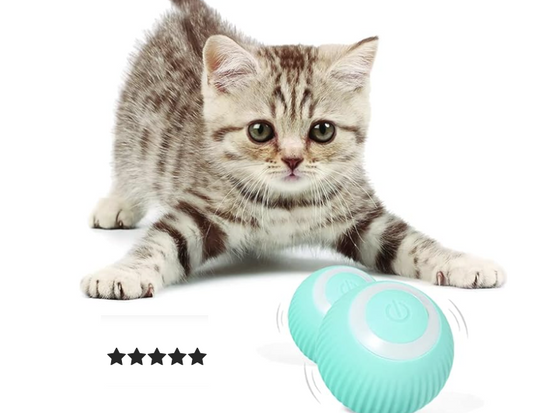 AUTOMATISCHER 360-GRAD-ROLLBALL FÜR KATZEN